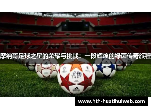摩纳哥足球之星的荣耀与挑战：一段辉煌的绿茵传奇旅程